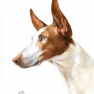 Original Oil Portrait Painting IBIZAN HOUND Artist Signed Puppy Dog Pet Animal Artwork Art