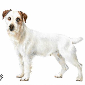 Original Dog Oil Portrait Painting JACK RUSSELL TERRIER Artiste Signé Artwork Puppy Dog Pet Art