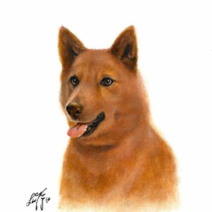 Original Oil Portrait Painting FINNISH SPITZ  Artist Signed Puppy Dog Artwork Art