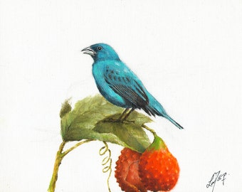 Originale Olio UCCELLO Ritratto Ritratto Pittura Opera d'arte INDIGO BUNTING Litchi Frutta Blu Artista Firmato