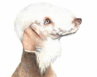 Original Oil Dog Portrait Painting BEDLINGTON TERRIER Artist Signed Puppy Artwork on Canvas Pet Animal Realism 8x10 Home Decor