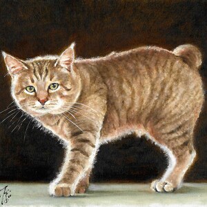 以下が含まれることがあります： 緑色の目をした茶色の虎柄の猫の絵。猫は薄い茶色の表面に立っており、ボブテイルの尻尾をしています。