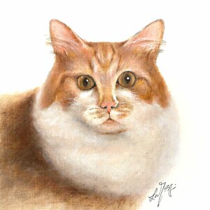 Original Oil Portrait Painting CYMRIC Artist Signed Art Artwork Cat Kitten Orange White