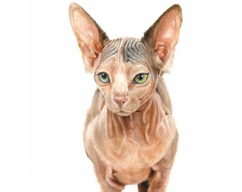 Original Oil Portrait Painting SPHYNX Cat Kitten Artwork Artist Signed Art Pet Animal