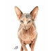 see more listings in the Cat Portrait Arts section