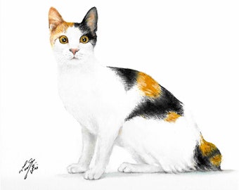 Original Oil Portrait Painting JAPANESE BOBTAIL Artist Signed Artwork Cat Kitten Art Animal Pet