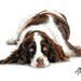 see more listings in the Dog Portrait Arts section