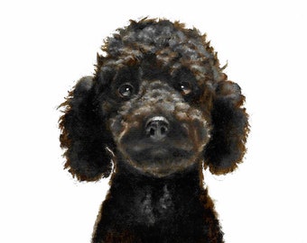 Original Oil Portrait Painting POODLE Artist Signed Puppy Dog Pet Artwork Art BLACK