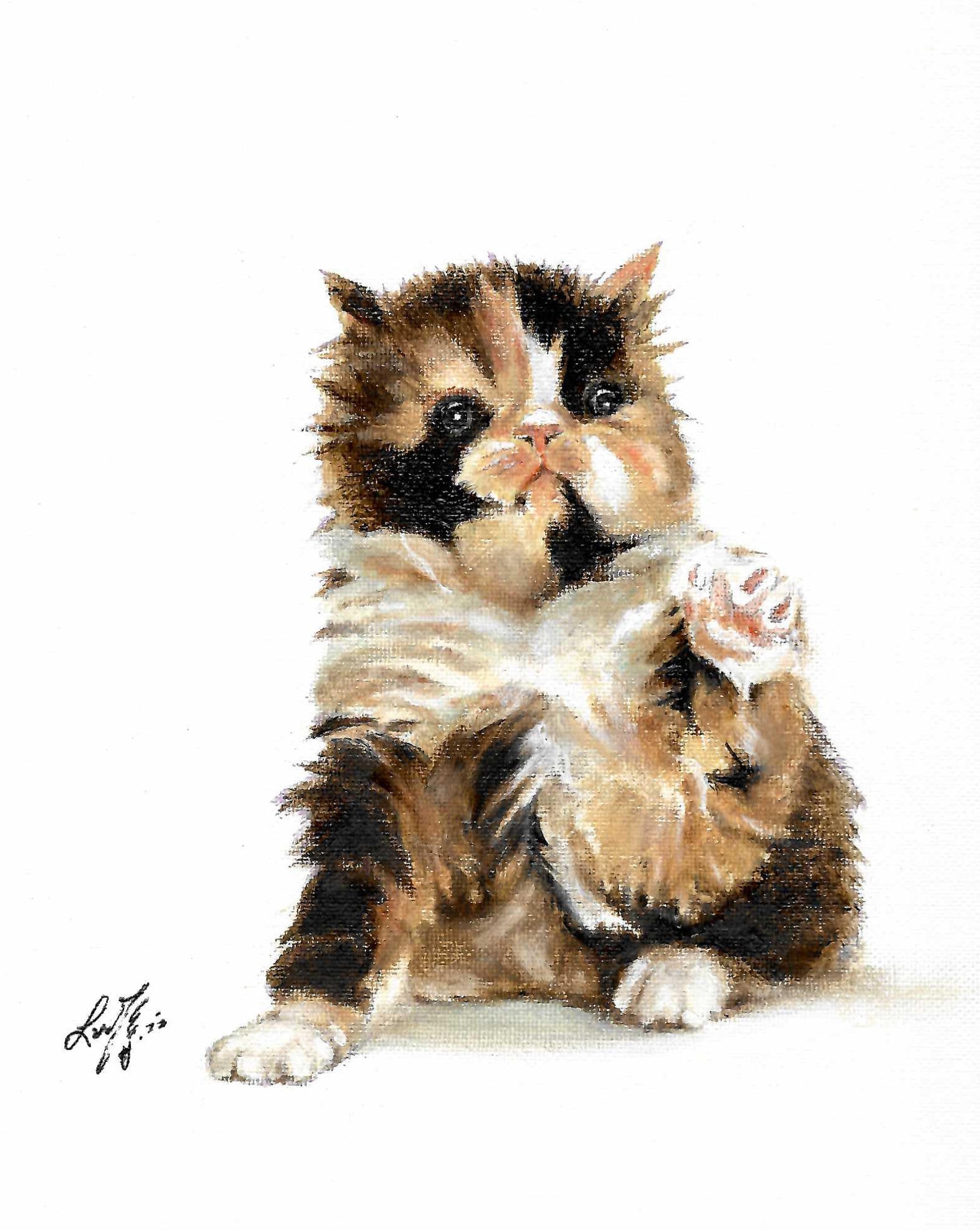 Original Oil Portrait Painting PERSIAN TORTOISESHELL & WHITE Cat Artist ...