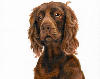 Original Oil Portrait Painting SUSSEX SPANIEL Art from Artist Puppy Dog Art Signed