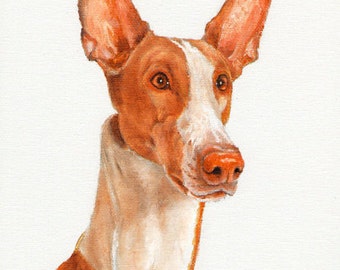 Original Oil DOG Portrait Painting IBIZAN HOUND Art from Artist