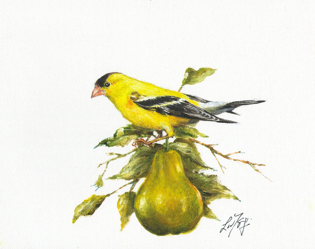 Original Oil BIRD Portrait Painting Art Artwork AMERICAN GOLDFINCH Pear ...