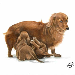 Original Oil Portrait Painting DACHSHUND MINIATURE Artist Signed Puppy Dog Pet Artwork Art