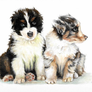 New Original Oil DOG Portrait Painting AUSTRALIAN SHEPHERD Art Puppy Artist Signed Artwork
