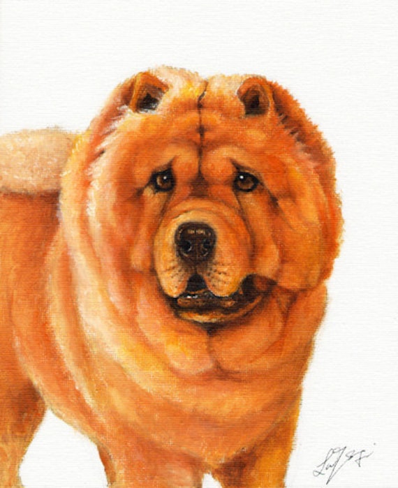 chow chow painting