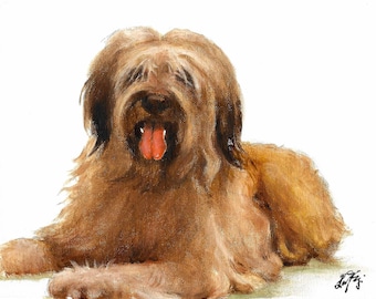 Original Oil Portrait Painting BRIARD Puppy Dog Artist Signed Artwork