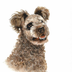 Original Oil Portrait Painting PUMI Puppy Dog Artist Signed Artwork Art