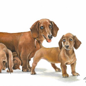 Original Oil Portrait Painting DACHSHUND MINIATURE Puppy Dog Pet Animal Artist Signed Artwork on Canvas