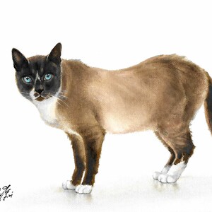 ORIGINAL Oil Portrait Painting SILVER LACES Cat Kitten Artwork Artist Signed Art Pet Animal