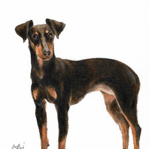 Original Oil Art MANCHESTER TERRIER Portrait Painting Artist Signed Artwork Puppy Dog