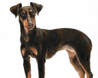 Original Oil Art MANCHESTER TERRIER Portrait Painting Artist Signed Artwork Puppy Dog