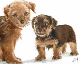 Original Oil Portrait Painting NORFOLK TERRIER Artist Signed Puppy Dog Pet Animal Art Artwork