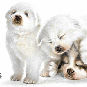 Original Oil Portrait Painting GREAT PYRENEES Artist Signed Puppy Dog Pet Artwork Art