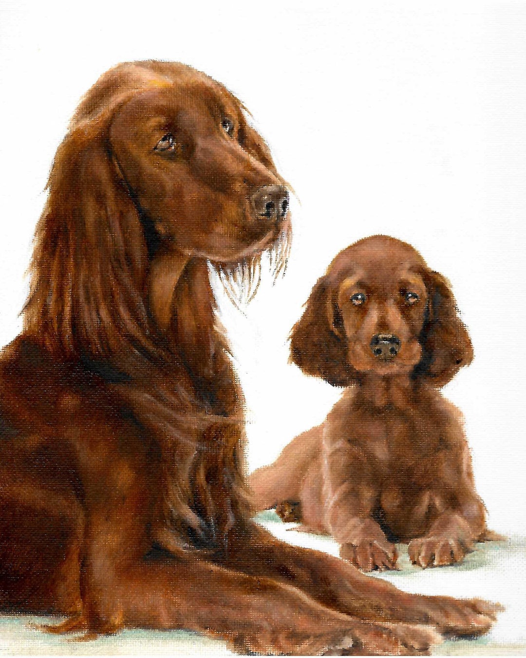 Original Oil Portrait Painting IRISH SETTER Artist Signed Etsy