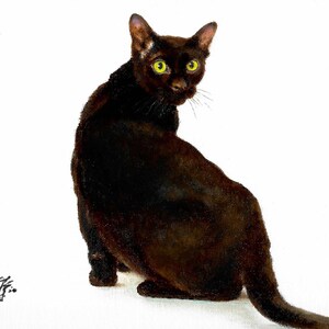Original Oil Portrait Painting BAMBAY BLACK Artist Signed Art Artwork Cat Kitten Pet
