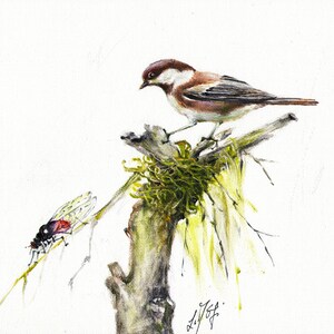 Original Oil BIRD Portrait Painting Art Artwork CHICKADEE Chectnut-Backed Tree Artist Signed