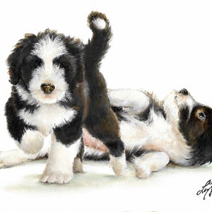 Original Oil Puppy Dog Portrait Painting BEARDED COLLIE Artwork Artist Signed