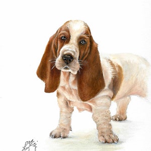 Könnte beinhalten: Ein Aquarellbild eines Basset-Hound-Welpen mit braunem und weißem Fell. Der Welpe steht auf weißem Hintergrund und schaut direkt auf den Betrachter.
