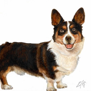 Original Oil Art WELSH CORGI CARDIGAN Portrait Painting Dog Artist Signed Artwork Puppy