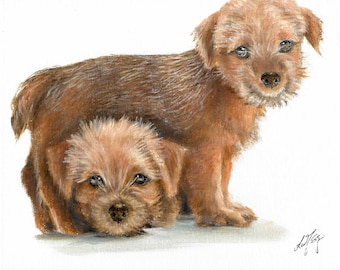 Original Oil Portrait Painting NORFOLK TERRIER Artist Signed Puppy Dog Pet Animal Art Artwork