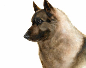 Original Oil Portrait Painting ELKHOUND Puppy Dog Artist Signed Artwork Art