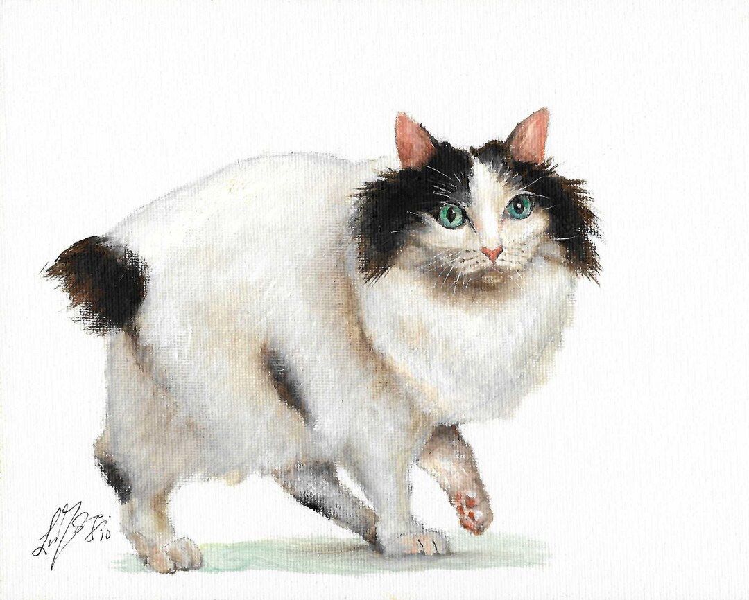狼林（ROURIN）作　猫（ジャパニーズボブティル三毛）の水彩画 2008年 狼林（ROURIN）作 猫（ジャパニーズボブティル三毛）の水彩画