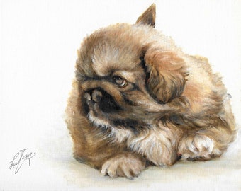 Original Oil Portrait Painting PEKINGESE PUPPY DOG Art from Artist Signed Artwork