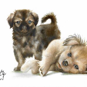 ORIGINAL Oil Portrait Painting TIBETAN SPANIEL Artist Signed Artwork Puppy Dog Art