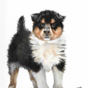 Original Oil Portrait Painting COLLIE Artist Signed Puppy Dog Artwork Pet Art SHEEPDOG