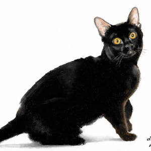 Original Oil Portrait Painting BOMBAY Black Cat Artist Signed Artwork Pet Animal Kitten Art
