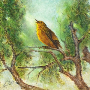 Original Oil BIRD Portrait Painting Art Artwork YELLOW WARBLER Singing Tree Artist Signed