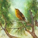 see more listings in the Bird Portrait Arts section