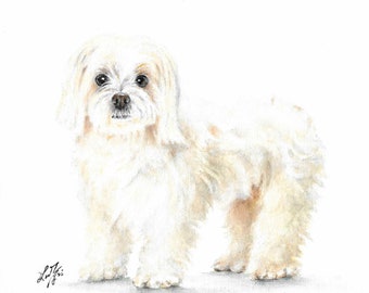 Original Oil Portrait Painting MALTESE Artist Signed Puppy Dog Pet Artwork Art