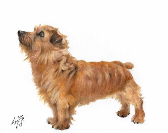 Original Oil DOG Portrait Painting NORFOLK TERRIER Art Artist Signed Puppy Artwork