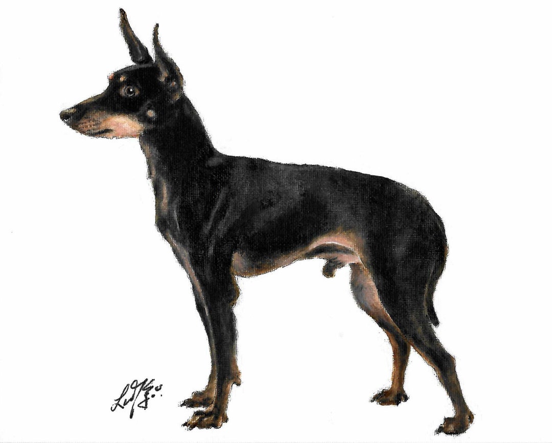 Toy Manchester Terrier Umbrella Toy Manchester Terrier Umbrella