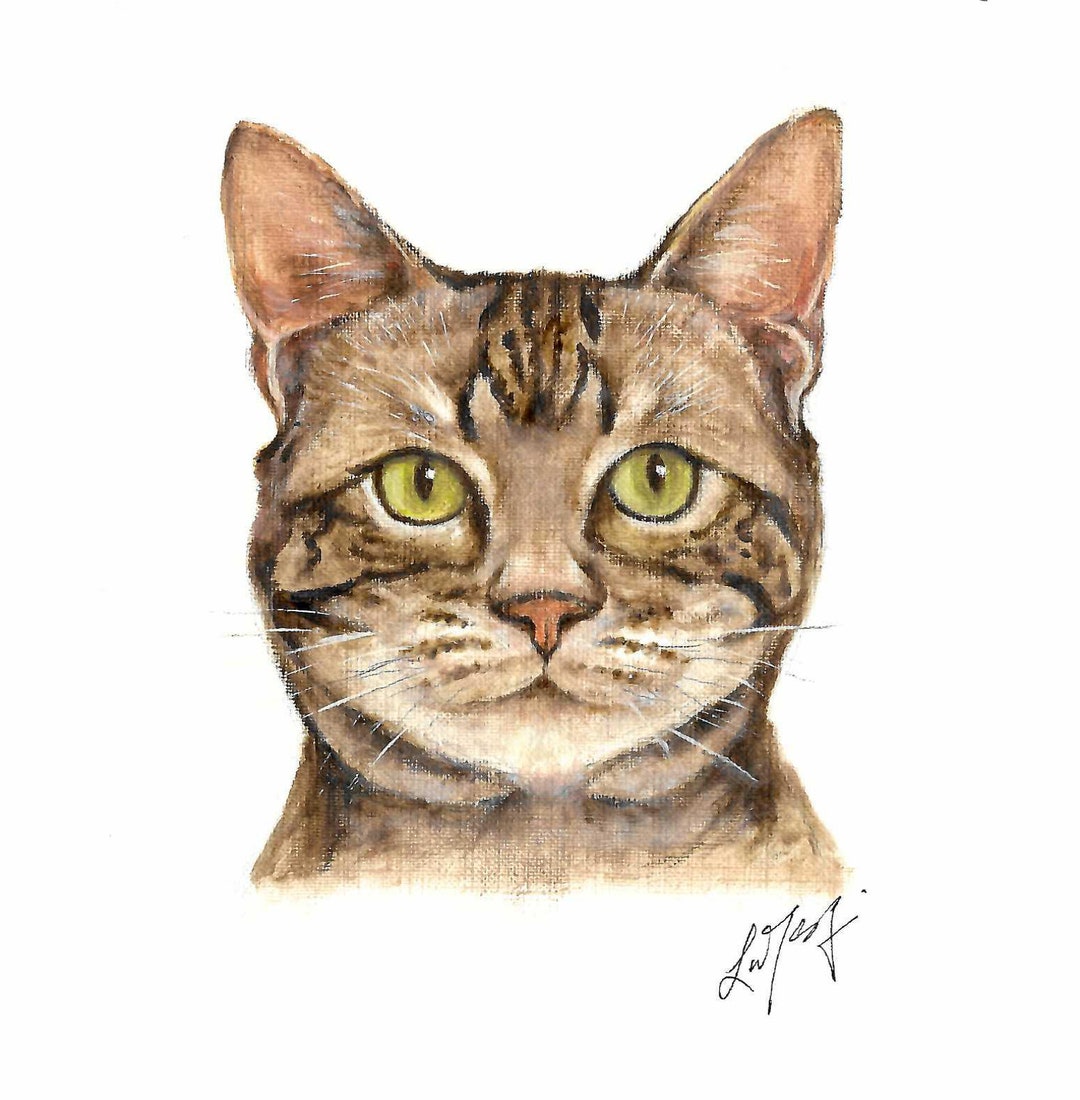 Original Oil Portrait Painting AMERICAN SHORTHAIR Artist Signed Art ...