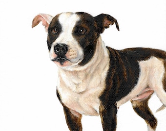Original Oil Dog Portrait Painting STAFFORDSHIRE BULL TERRIER Art Artist Signed Puppy Artwork