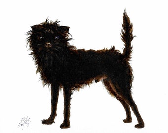 Original Oil Art AFFENPINSCHER Portrait Painting DOG Artist Signed Artwork PUPPY