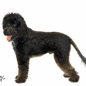 Original Oil Portrait Painting PORTUGUESE WATER DOG Artist Signed Artwork Art
