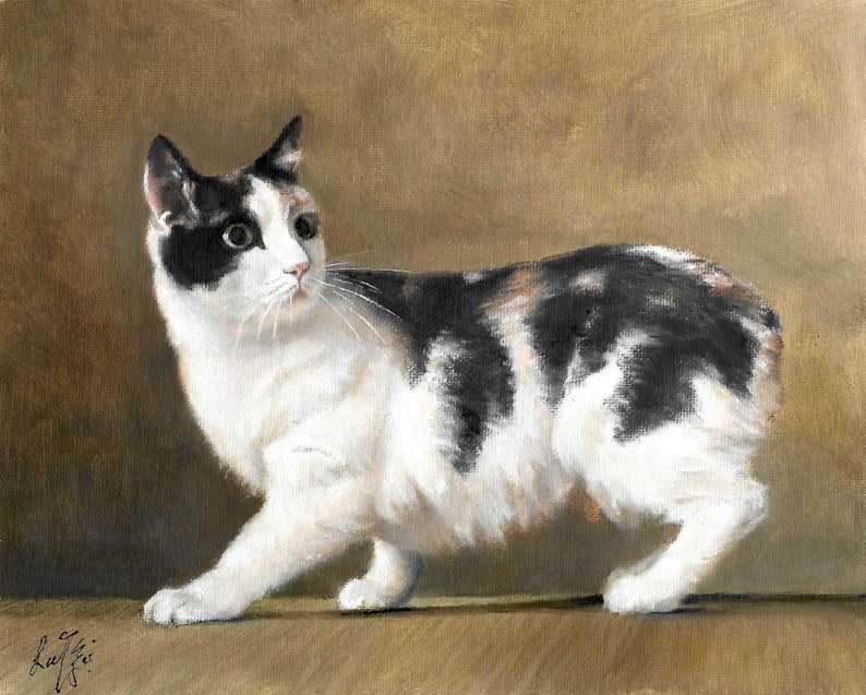 ORIGINAL Oil Portrait Painting MANX Cat Kitten Artwork Artist Signed ...